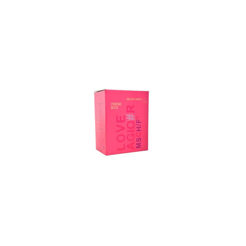 Helios Askos rose